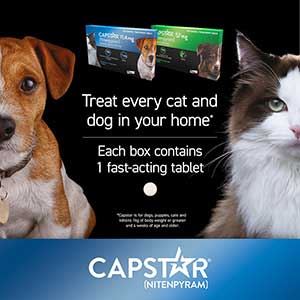 Capstar for hot sale dogs uk