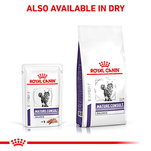 Royal canin senior consult best sale cat food