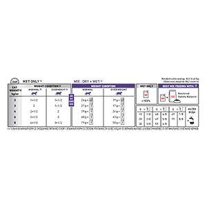 Royal canin kitten clearance dry food feeding guide