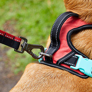 3 Peaks Ascent Dog Harness Red | Pets At Home