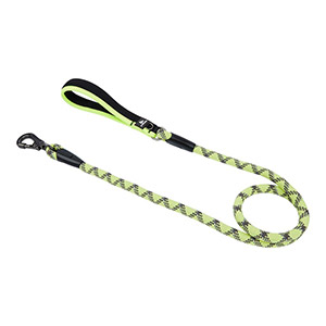 Rope dog leads hot sale pets at home