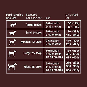 How Much To Feed A Puppy By Weight And Puppy Feeding Chart