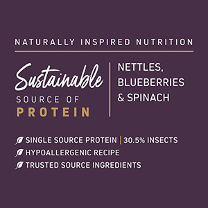 Wainwright's Nutritious Insects with Superfoods Dry Adult Dog Food ...