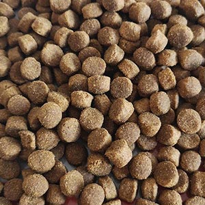 eukanuba dog food small breed