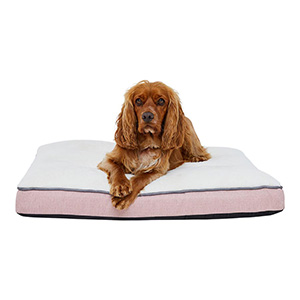 Wainwrights orthopedic 2025 dog bed