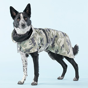 pets at home dog rain coats