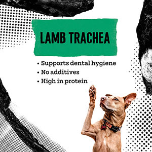 Lamb trachea for outlet dogs safe