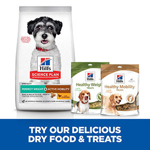 Hill's science diet perfect weight dry dog on sale food