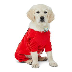 waterproof dog suit pets at home