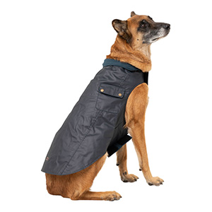 wainwrights dog jacket