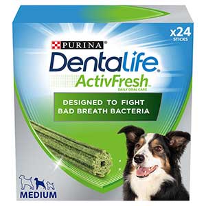 Dentalife medium 2024