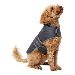 wainwrights dog coat