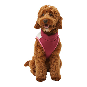 pets at home pink dog coat