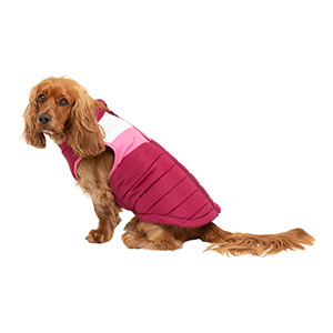 3 peaks rambler dog coat