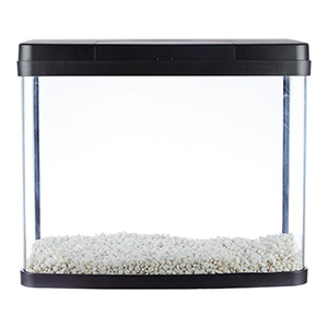 Pets at home fish hotsell tank stones