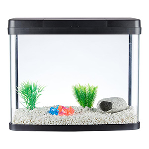 Everything you should know about Aquarium pH - Bunnycart Blog