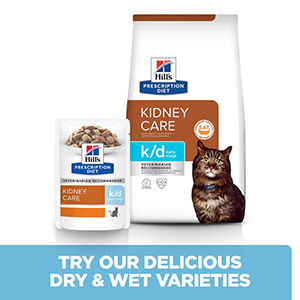 in beroep gaan ozon Ondeugd Hill's Prescription Diet k/d Early Stage Kidney Care Dry Adult Cat Food 3kg  | Pets At Home