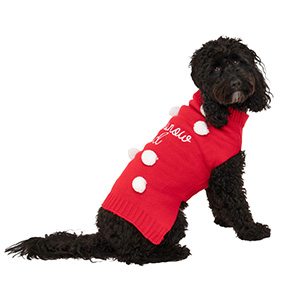 great and small active dog coat