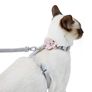 cat harness and lead pets at home