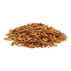 Pets at Home Mealworm and Calciworm Mix Pets At Home