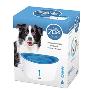 Cold water 2024 fountain for dogs