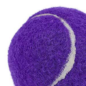 Pets at home dog clearance balls