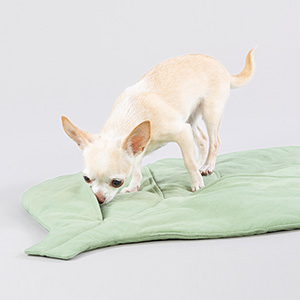 Paikka Leaf // Dog playmat with pockets for treats (green) %