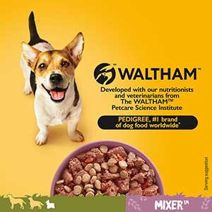 Mixer Small Breed Dry Adult Dog 2kg Pets At Home