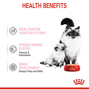 Royal Canin Mother and Babycat Mousse Wet Cat Food 12x195g Cans | Pets ...