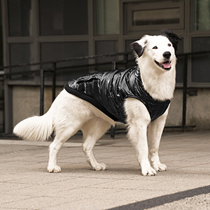 Kong thermal lined puffer hotsell coat dog