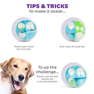 Dog deals maze toys