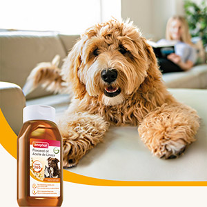 flaxseed oil for dogs pets at home