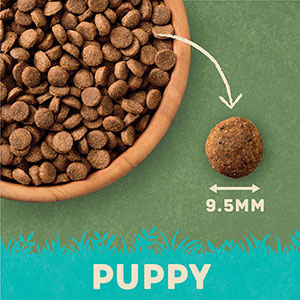 Harringtons puppy food store pets at home