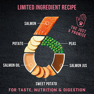 Harringtons salmon and top potato wet dog food