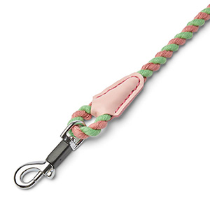 Just for Puppy Rope Lead Pink and Green Small | Pets At Home