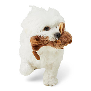 Flat Bunny Dog Toy - Stuffing Free