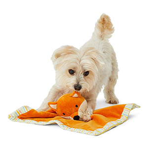 Puppy clearance blanket toy