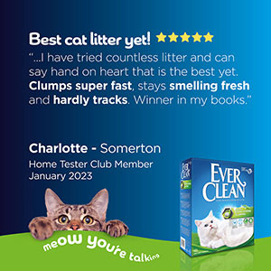 Ever Clean Extra Strong Clumping Adult Cat Litter Scented 10 Litre