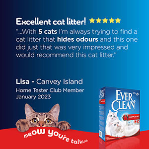 Everclean deals cat litter