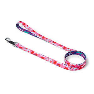 Pets at hotsell home dog leads