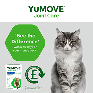 Yumove advance cat hot sale pets at home