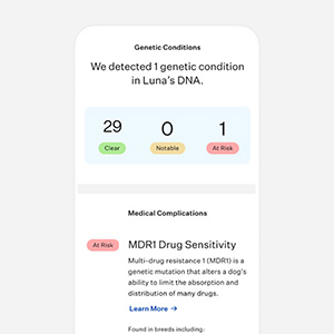 Wisdom dna hot sale dog test