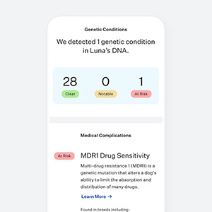 Wisdom panel hot sale dna