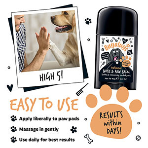 Dog paw best sale balm stick