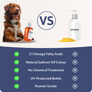 Fish oil for dogs pets 2024 at home