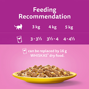 Whiskas senior hot sale cat food