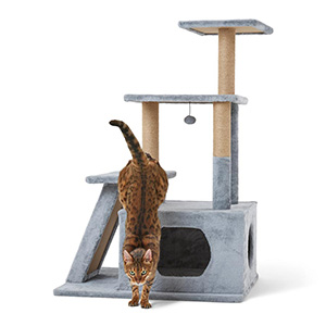 Cat scratching best sale activity centre