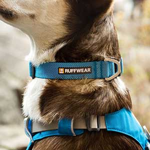 Ruffwear Hi and Light Dog Collar Blue Dusk Pets At Home