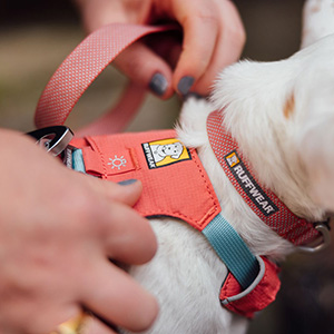 Ruffwear Hi and Light Dog Collar Salmon Pink Pets At Home