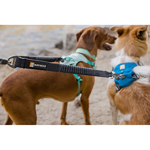 Ruffwear Hi and Light Dog Harness Blue Dusk Pets At Home